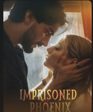 The Imprisoned Phoenix poster